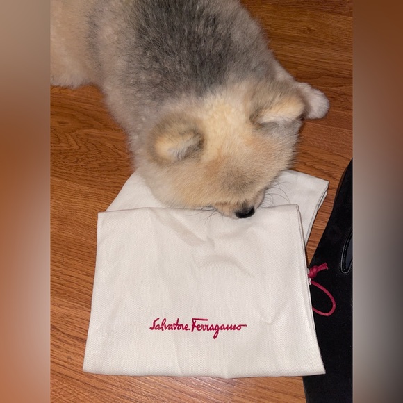 Ferragamo Men's Libero Gancio Suede Loafers - Picture 9 of 14